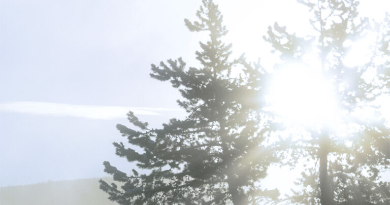 はじめまして。LUIRE（ルイール）公式ブログへようこそ